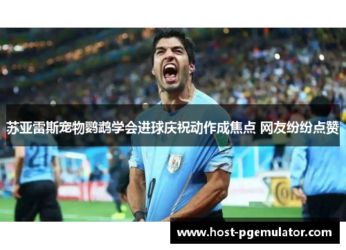 苏亚雷斯宠物鹦鹉学会进球庆祝动作成焦点 网友纷纷点赞 苏亚雷斯宠物鹦鹉学会进球庆祝动作成焦点 网友纷纷点赞