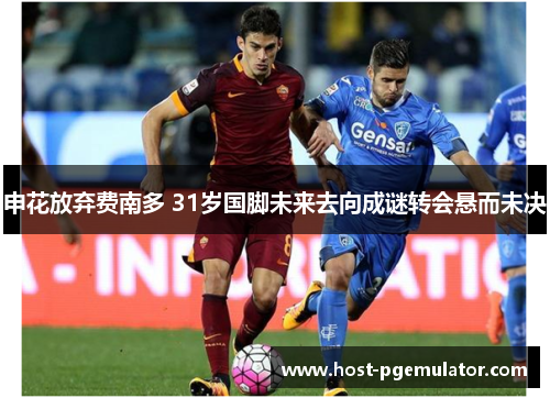 申花放弃费南多 31岁国脚未来去向成谜转会悬而未决