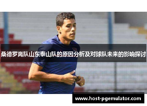 桑德罗离队山东泰山队的原因分析及对球队未来的影响探讨