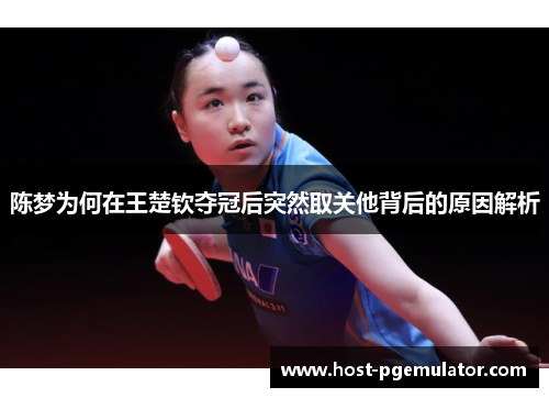 陈梦为何在王楚钦夺冠后突然取关他背后的原因解析 陈梦为何在王楚钦夺冠后突然取关他背后的原因解析