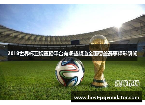 2018世界杯卫视直播平台有哪些频道全面覆盖赛事精彩瞬间 2018世界杯卫视直播平台有哪些频道全面覆盖赛事精彩瞬间