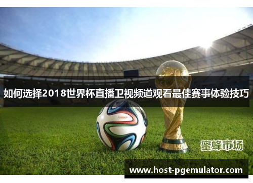 如何选择2018世界杯直播卫视频道观看最佳赛事体验技巧 如何选择2018世界杯直播卫视频道观看最佳赛事体验技巧