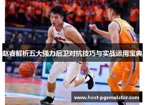 赵睿解析五大强力后卫对抗技巧与实战运用宝典