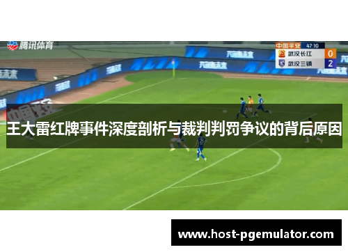 王大雷红牌事件深度剖析与裁判判罚争议的背后原因
